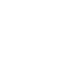 Arcfox Icon